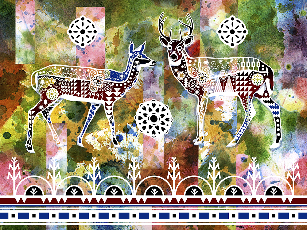 Double White Tailed Deer - Fine Art Giclee Print